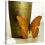 Orange Butterfly against Copper Vase-Tom Quartermaine-Stretched Canvas