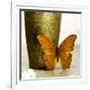 Orange Butterfly against Copper Vase-Tom Quartermaine-Framed Giclee Print