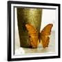 Orange Butterfly against Copper Vase-Tom Quartermaine-Framed Giclee Print