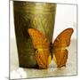 Orange Butterfly against Copper Vase-Tom Quartermaine-Mounted Giclee Print