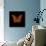 Orange Butterfly on Black-Tom Quartermaine-Mounted Giclee Print displayed on a wall