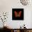 Orange Butterfly on Black-Tom Quartermaine-Framed Stretched Canvas displayed on a wall