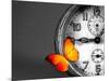 Orange Butterfly Resting over an Old Vintage Clock-Photosani-Mounted Art Print