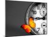 Orange Butterfly Resting over an Old Vintage Clock-Photosani-Mounted Art Print