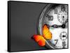Orange Butterfly Resting over an Old Vintage Clock-Photosani-Framed Stretched Canvas