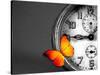 Orange Butterfly Resting over an Old Vintage Clock-Photosani-Stretched Canvas