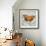 Orange Butterfly-Alan Hopfensperger-Framed Art Print displayed on a wall