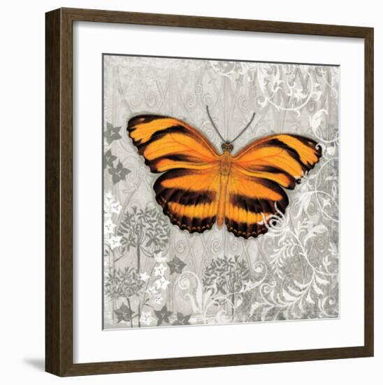 Orange Butterfly-Alan Hopfensperger-Framed Art Print