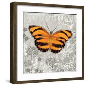 Orange Butterfly-Alan Hopfensperger-Framed Art Print