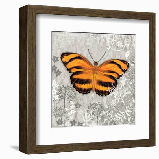 Orange Butterfly-Alan Hopfensperger-Framed Art Print