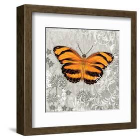 Orange Butterfly-Alan Hopfensperger-Framed Art Print