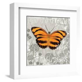 Orange Butterfly-Alan Hopfensperger-Framed Art Print