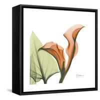 Orange Calla-Albert Koetsier-Framed Stretched Canvas