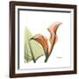 Orange Calla-Albert Koetsier-Framed Premium Giclee Print