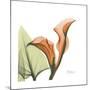 Orange Calla-Albert Koetsier-Mounted Premium Giclee Print