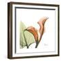 Orange Calla-Albert Koetsier-Framed Premium Giclee Print