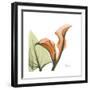 Orange Calla-Albert Koetsier-Framed Premium Giclee Print