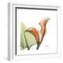 Orange Calla-Albert Koetsier-Framed Premium Giclee Print