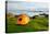 Orange Camping Tent on a Shore in a Morning Light-naumoid-Stretched Canvas