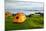 Orange Camping Tent on a Shore in a Morning Light-naumoid-Mounted Photographic Print