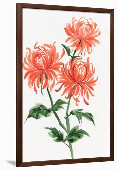 Orange Chrysanthemum-Surovtseva-Framed Art Print