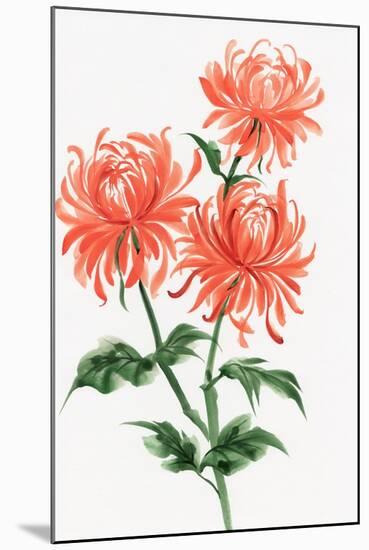 Orange Chrysanthemum-Surovtseva-Mounted Art Print