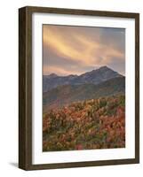 Orange Clouds at Sunset over Orange and Red Maples in the Fall, Uinta National Forest, Utah, USA-James Hager-Framed Photographic Print