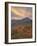 Orange Clouds at Sunset over Orange and Red Maples in the Fall, Uinta National Forest, Utah, USA-James Hager-Framed Photographic Print