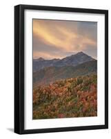 Orange Clouds at Sunset over Orange and Red Maples in the Fall, Uinta National Forest, Utah, USA-James Hager-Framed Photographic Print