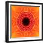 Orange Concentric Flower Center: Mandala Kaleidoscopic Design-tr3gi-Framed Art Print