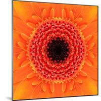 Orange Concentric Flower Center: Mandala Kaleidoscopic Design-tr3gi-Mounted Art Print