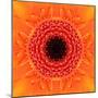 Orange Concentric Flower Center: Mandala Kaleidoscopic Design-tr3gi-Mounted Art Print