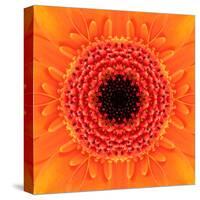 Orange Concentric Flower Center: Mandala Kaleidoscopic Design-tr3gi-Stretched Canvas