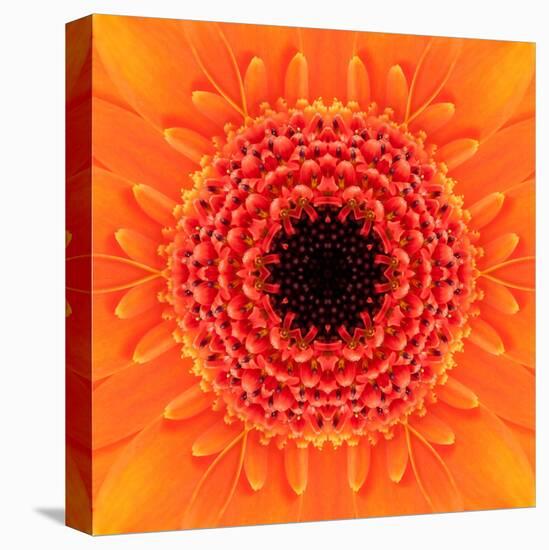 Orange Concentric Flower Center: Mandala Kaleidoscopic Design-tr3gi-Stretched Canvas