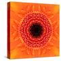 Orange Concentric Flower Center: Mandala Kaleidoscopic Design-tr3gi-Stretched Canvas