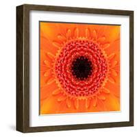 Orange Concentric Flower Center: Mandala Kaleidoscopic Design-tr3gi-Framed Art Print