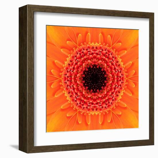 Orange Concentric Flower Center: Mandala Kaleidoscopic Design-tr3gi-Framed Art Print