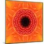 Orange Concentric Flower Center: Mandala Kaleidoscopic Design-tr3gi-Mounted Art Print