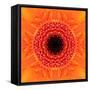 Orange Concentric Flower Center: Mandala Kaleidoscopic Design-tr3gi-Framed Stretched Canvas
