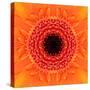 Orange Concentric Flower Center: Mandala Kaleidoscopic Design-tr3gi-Stretched Canvas