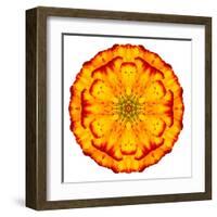 Orange Concentric Marigold Mandala Flower-tr3gi-Framed Art Print