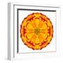 Orange Concentric Marigold Mandala Flower-tr3gi-Framed Art Print