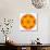 Orange Concentric Marigold Mandala Flower-tr3gi-Art Print displayed on a wall