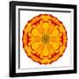 Orange Concentric Marigold Mandala Flower-tr3gi-Framed Art Print