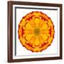 Orange Concentric Marigold Mandala Flower-tr3gi-Framed Art Print