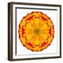 Orange Concentric Marigold Mandala Flower-tr3gi-Framed Art Print