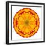 Orange Concentric Marigold Mandala Flower-tr3gi-Framed Art Print