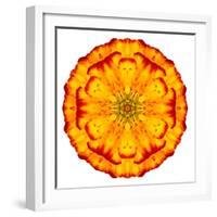 Orange Concentric Marigold Mandala Flower-tr3gi-Framed Art Print