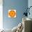 Orange Concentric Marigold Mandala Flower-tr3gi-Mounted Art Print displayed on a wall