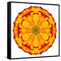 Orange Concentric Marigold Mandala Flower-tr3gi-Framed Stretched Canvas